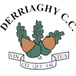 Derriaghy Cc FC