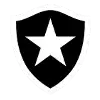 Botafogo U19