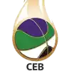 CEB Puerto Montt