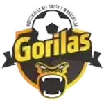 Gorilas de Juanacatlan