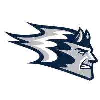 Uw-Stout Blue Devils