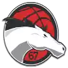 Leicester Riders (Women)