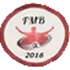 Fotbal Mania Bucuresti