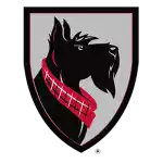 Đội Tartans Carnegie Mellon