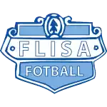 Flisa