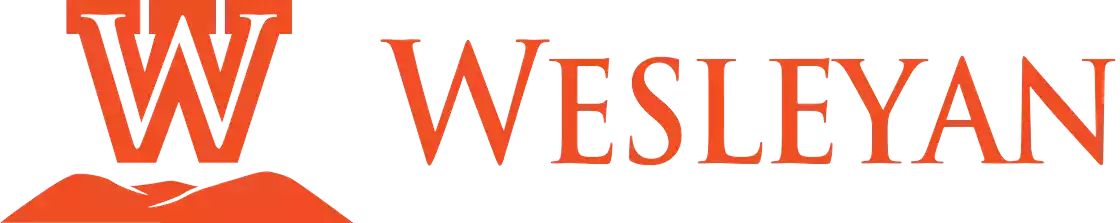 Đội nữ Bobcats West Virginia Wesleyan