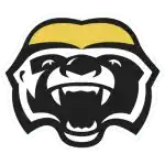 Brampton Honey Badgers