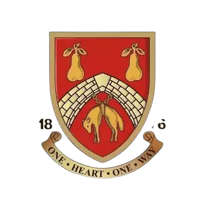 Đội bóng nữ Stourbridge FC