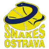 Rắn Ostrava U23