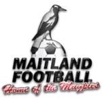 Maitland FC Reserve (Women)
