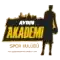 Айдын Бююкшехир Академи
