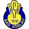 Đội bóng Bad Voslau