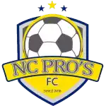 Nc Professionals