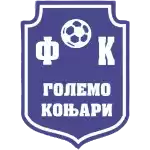 Големо Коњари