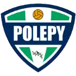 TJ Polepy