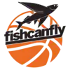 FishCanFly