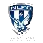 New Lambton FC Reserve (Women)