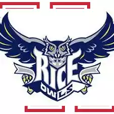 Rice Owls