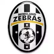 Moreland Zebras