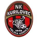 Udarnik