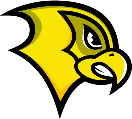 Felician Golden Falcons