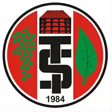 Turgutluspor U19