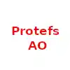 Протефс АО