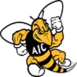 American International Yellow Jackets
