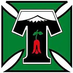 Deportes Temuco (Women)