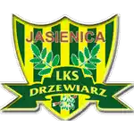 Drzewiarz Jasienica