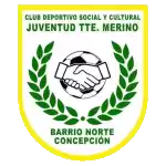 Teniente Merino