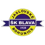 ŠK Blava Jaslovske Bohunice