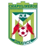 Chapulineros de Oaxaca