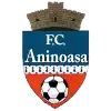 Аниноаса