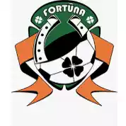 Vjfm Fortuna Kaunas