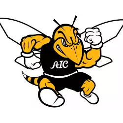 American International Yellow Jackets