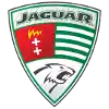 Jaguar Kokoszki