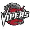 Rio Grande Valley Vipers