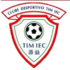 Tim IEK