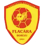 ACS Flacara Horezu