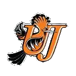 Университет Йоханнесбурга