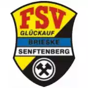 FSV Brieske Senftenberg