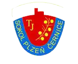 Sokol Cernice