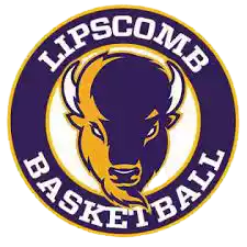 Đội Bison Lipscomb