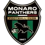 Monaro Panthers FC