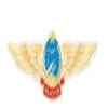Phong Khong Khong Quan