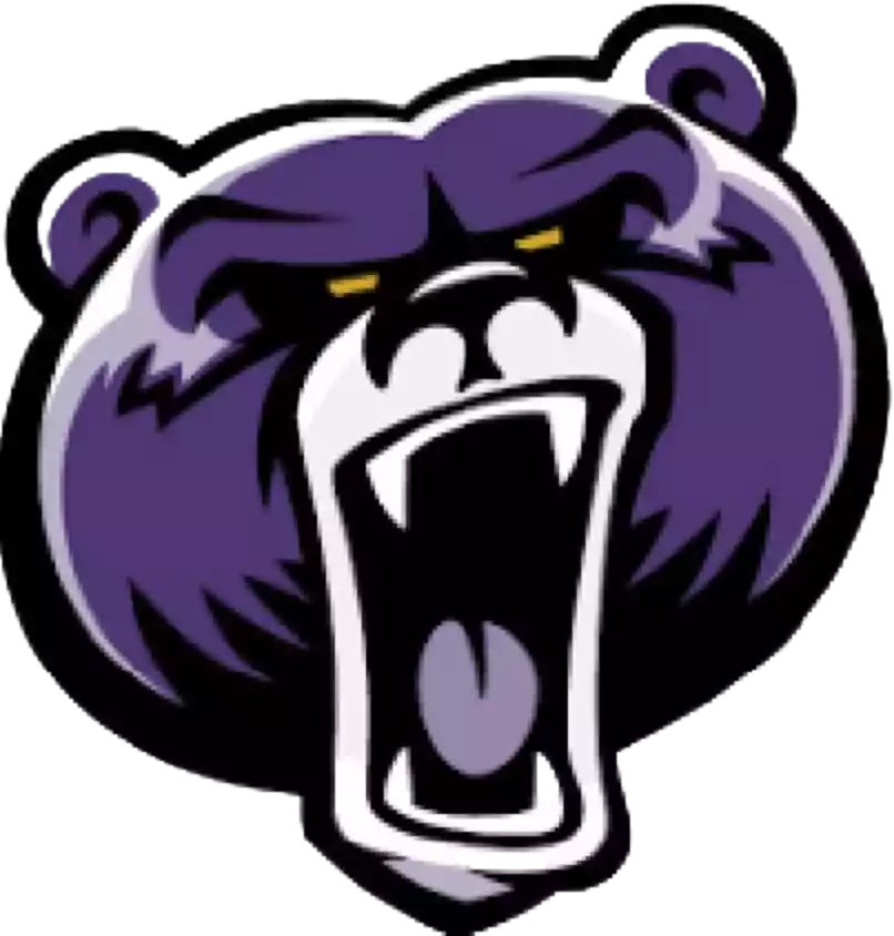 Bellevue NE Bruins
