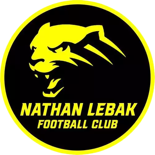 Nathan Lebak
