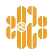 Shenzhen 2028 FC