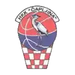 Чаплина Ласта